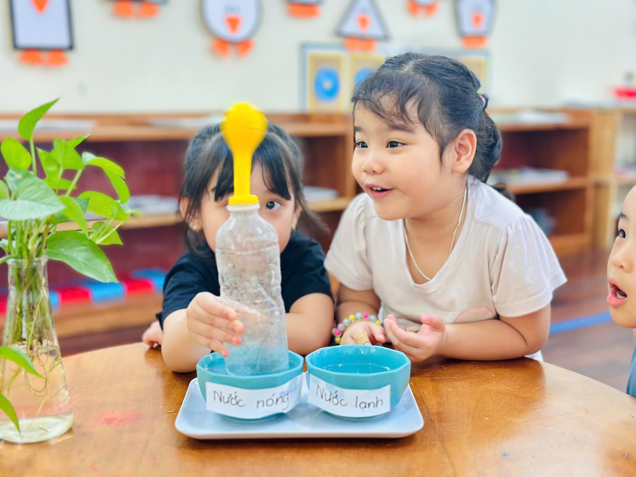 Các bé hào hứng quan sát thí nghiệm