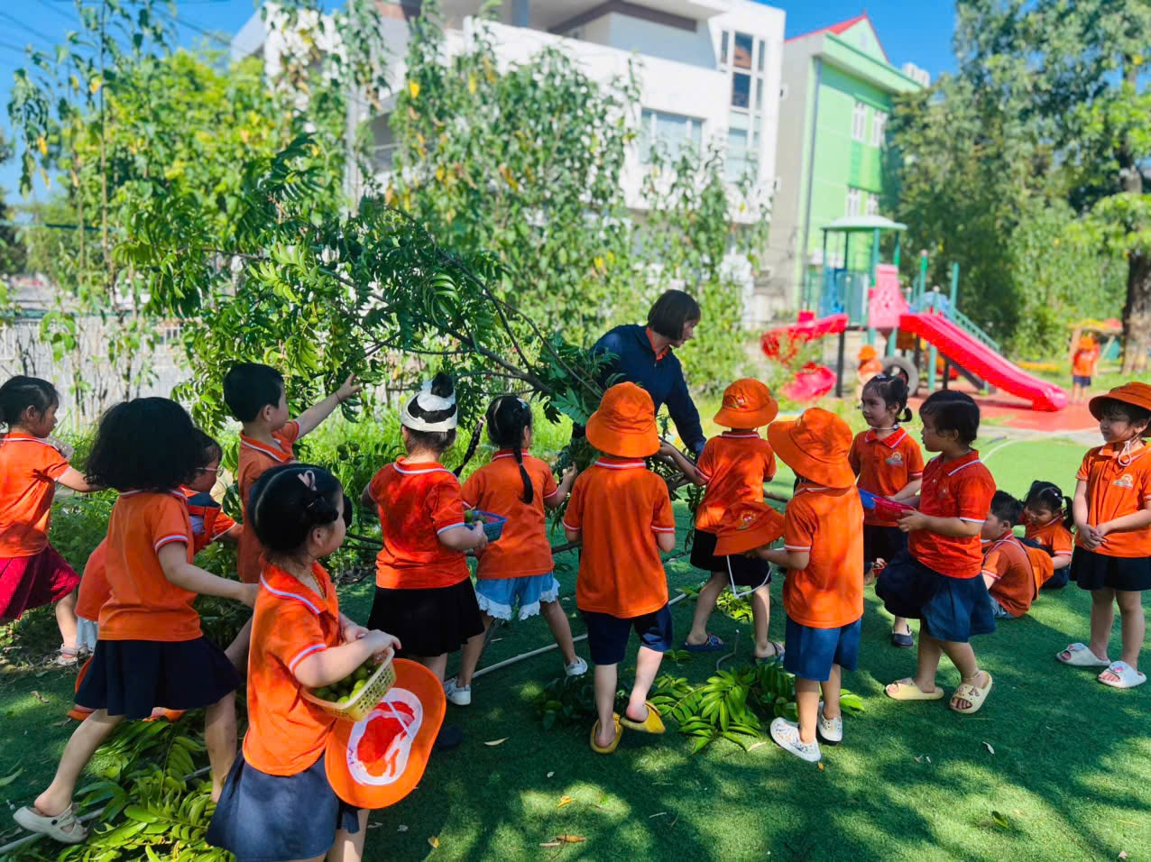 Khu vườn xanh mát của Mầm non Big Sun