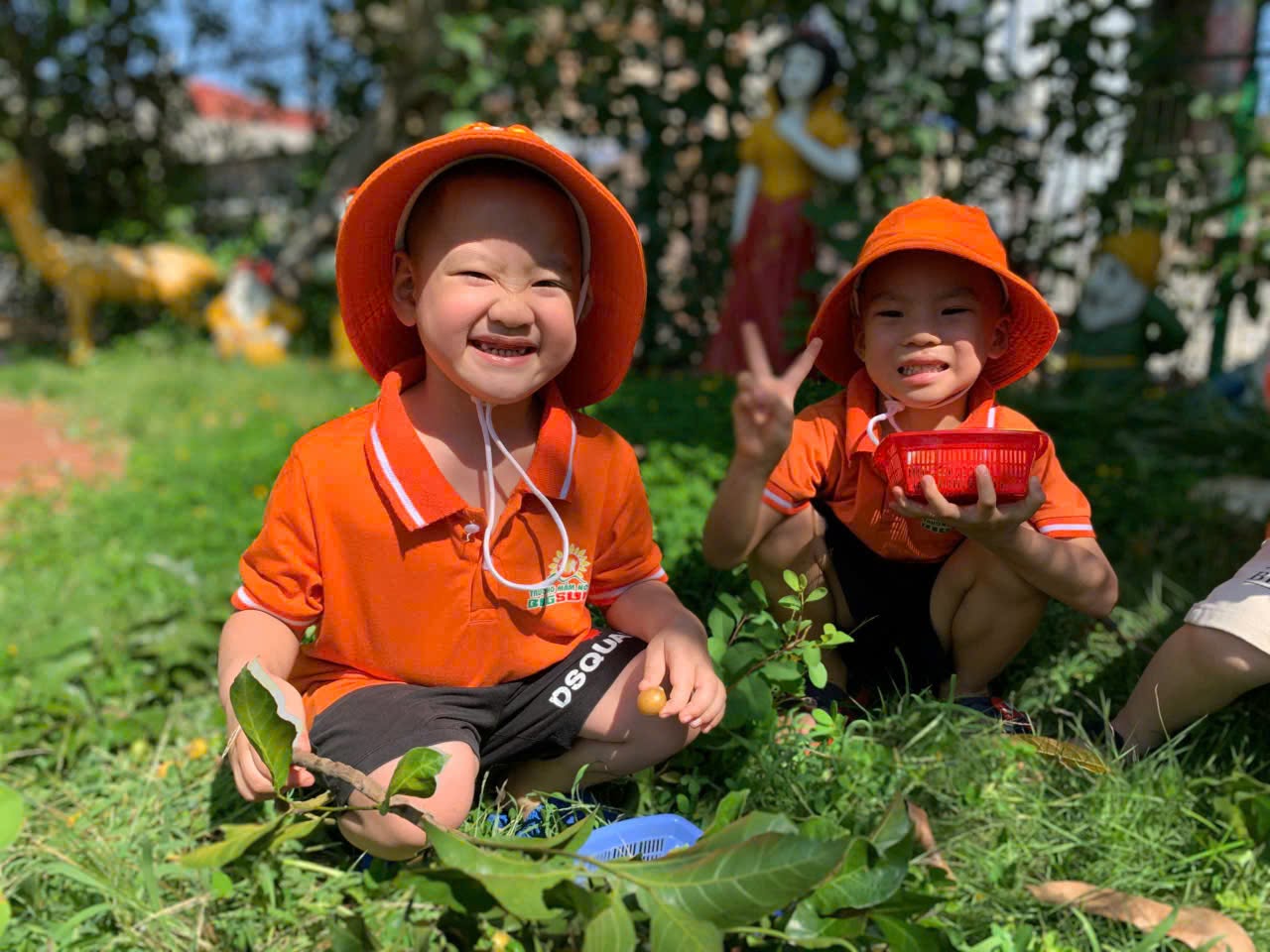 Niềm vui hái quả của các bé Big Sun